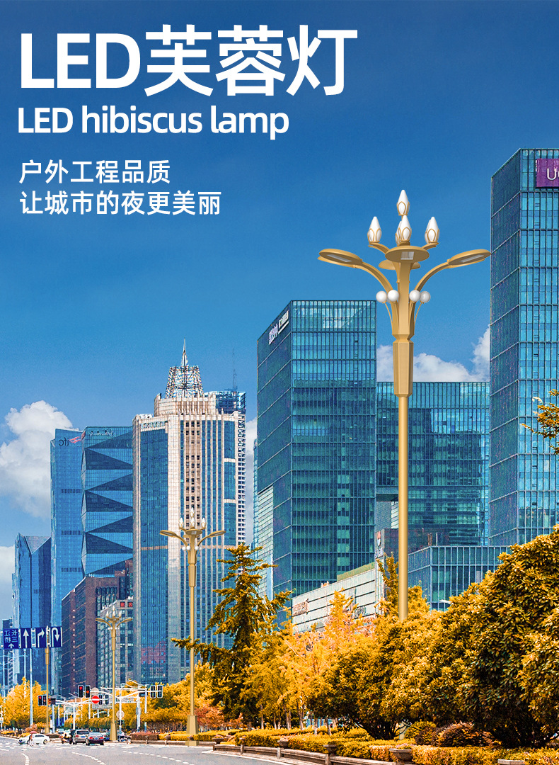 玉蘭燈（dēng）6